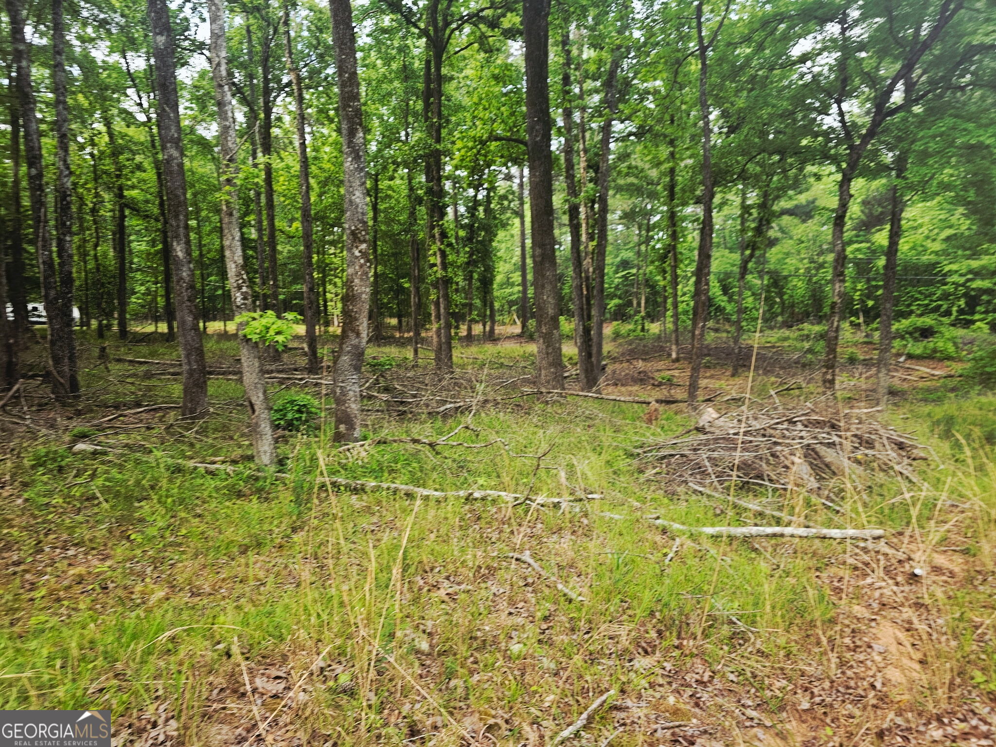 0 Island Creek Sparta GA 31087