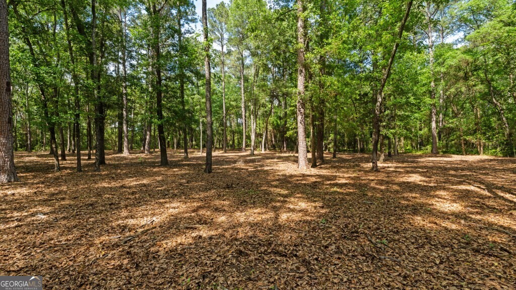 2 Coakley And Slade Avenue Albany GA 31721