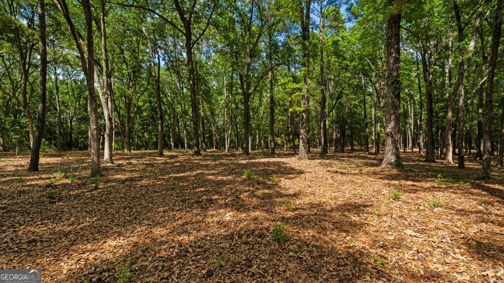 2 Coakley And Slade Avenue Albany GA 31721