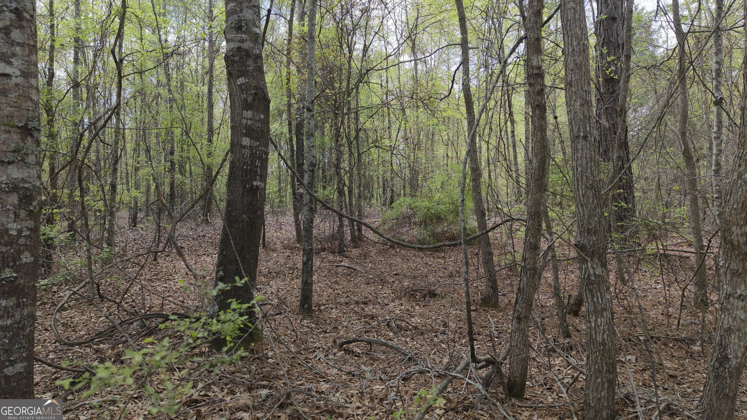 0 E Old Wire Road Butler GA 31006