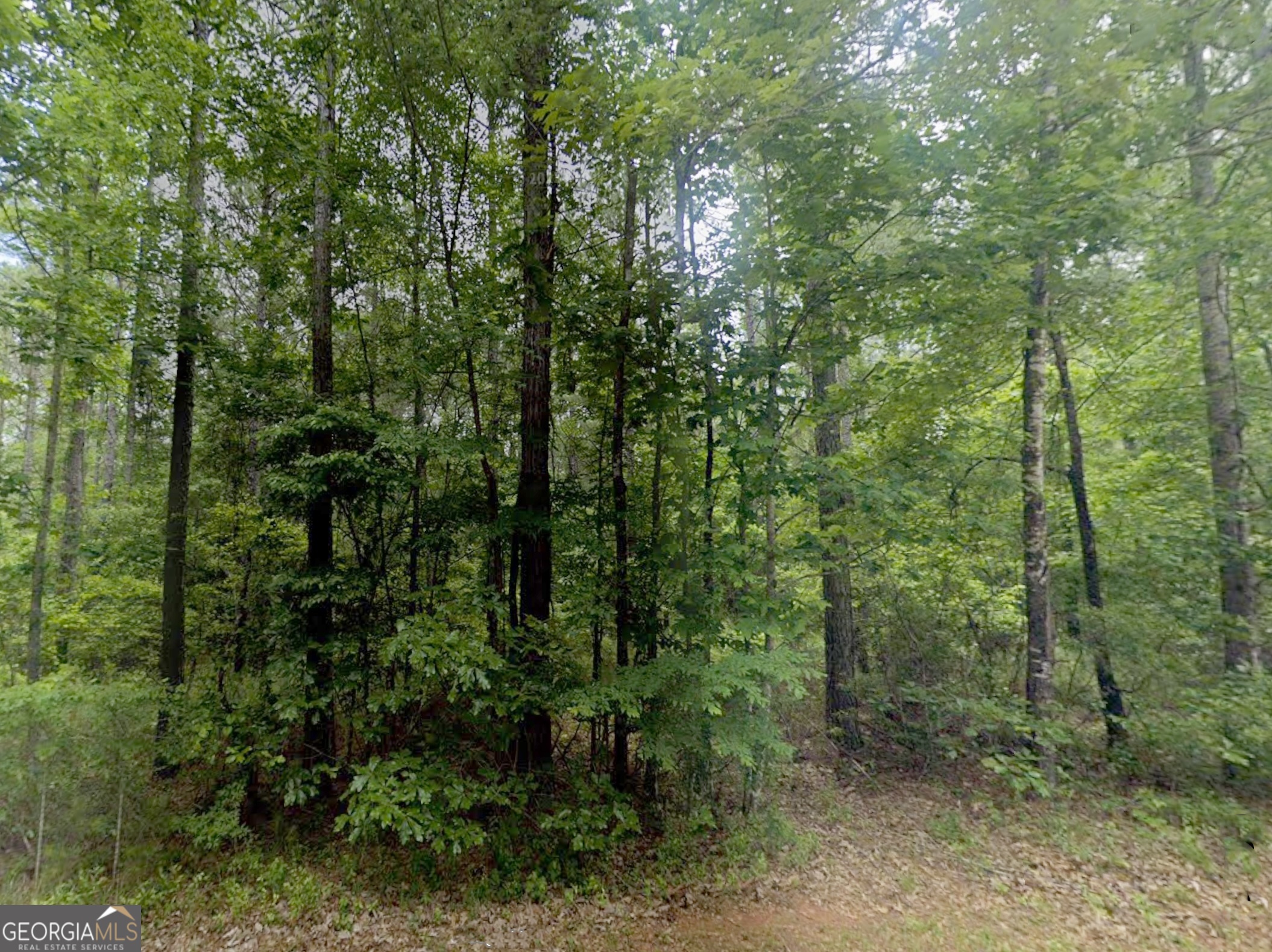 0 E Old Wire Road Butler GA 31006