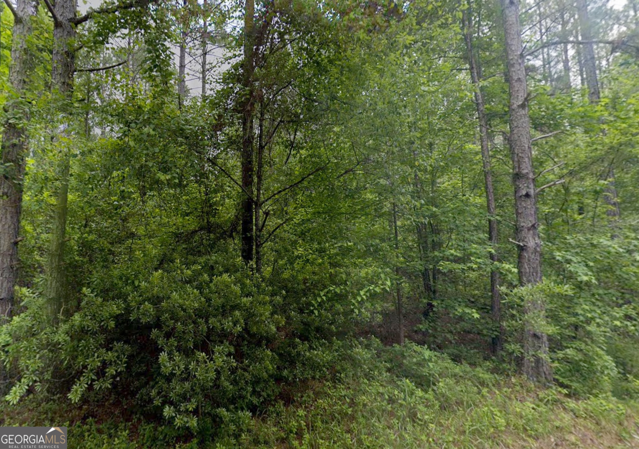 0 E Old Wire Road Butler GA 31006