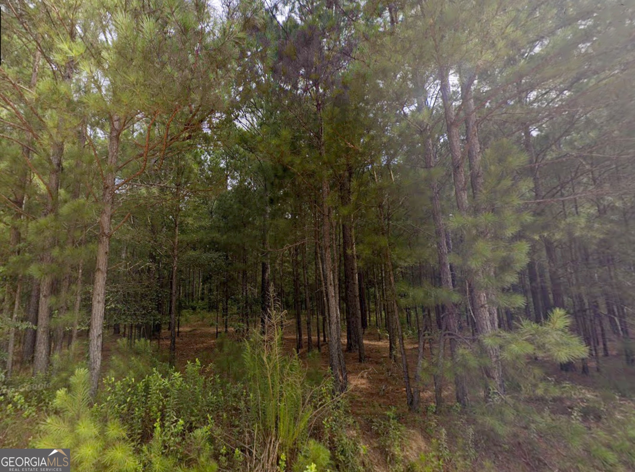 0 E Old Wire Road Butler GA 31006