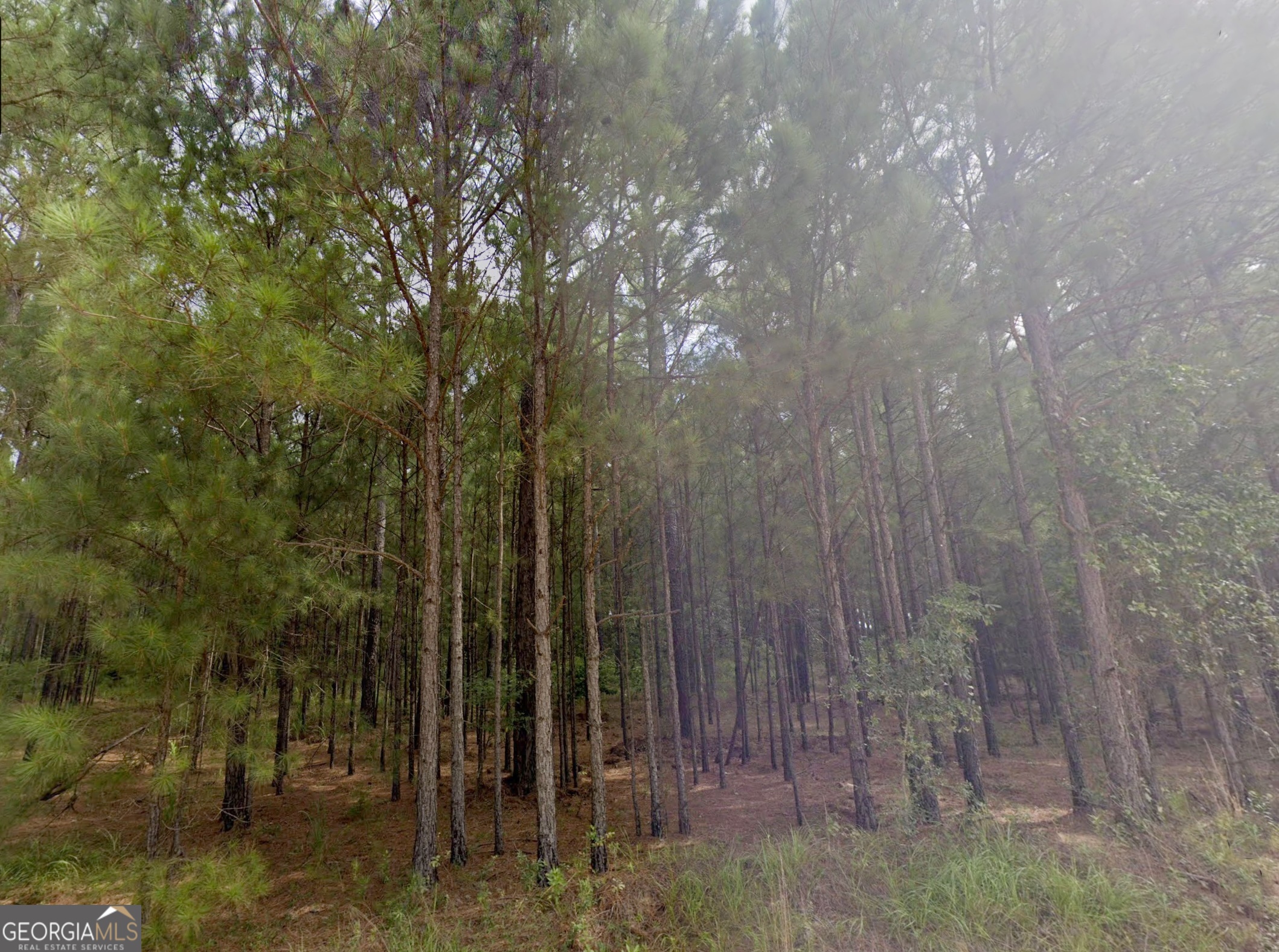 0 E Old Wire Road Butler GA 31006