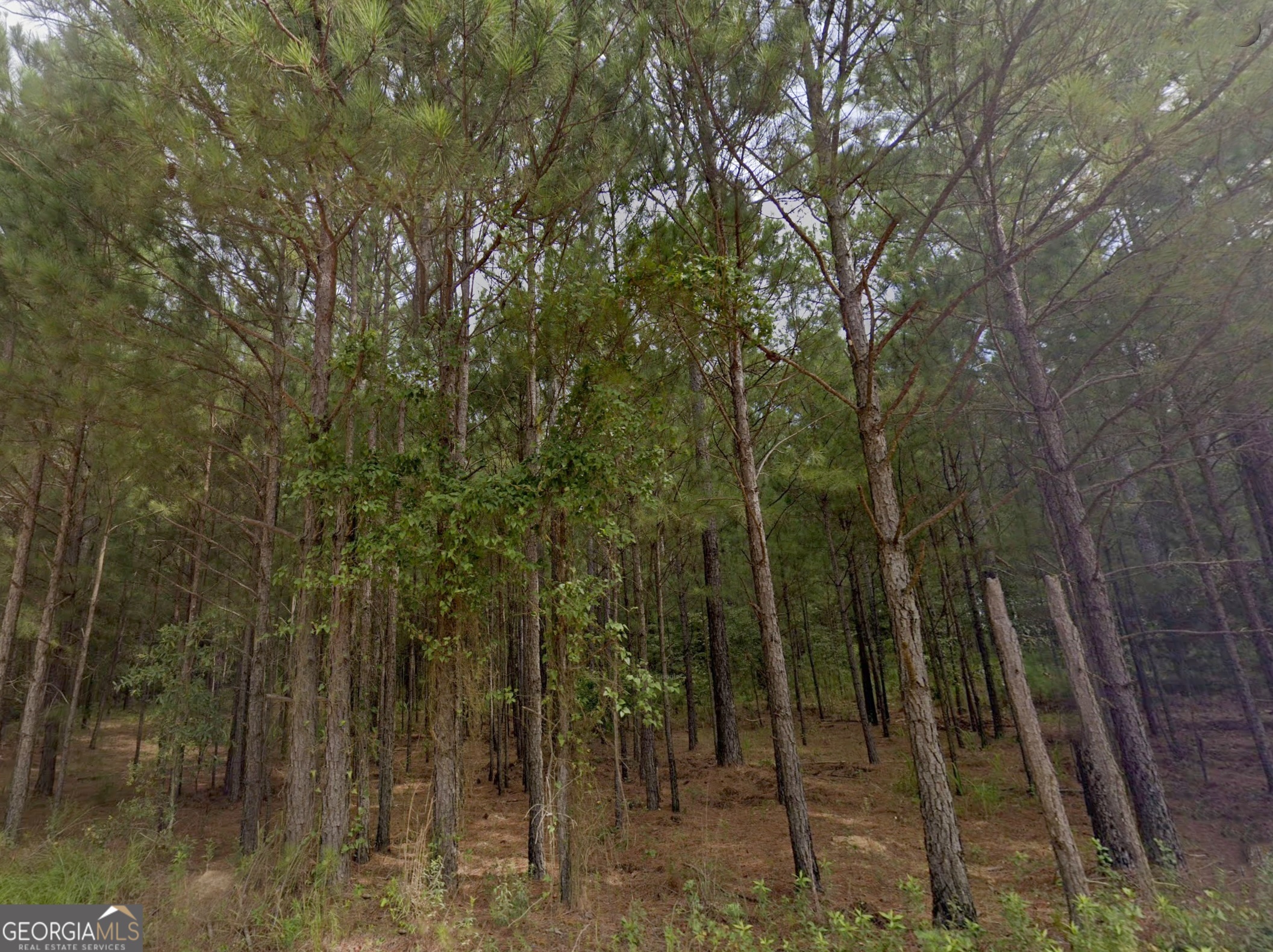 0 E Old Wire Road Butler GA 31006