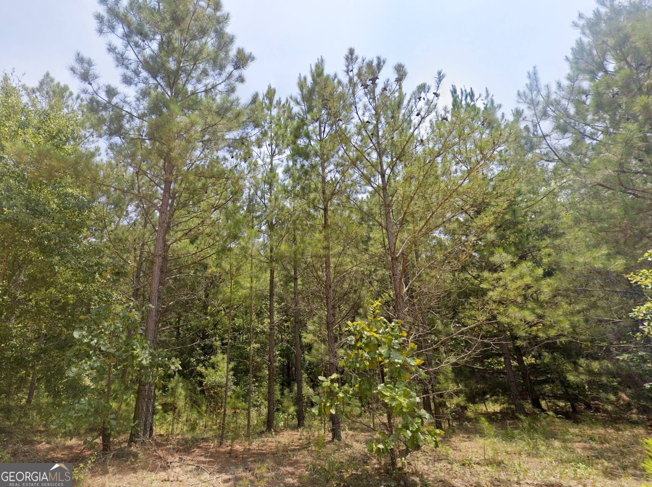 0 E Old Wire Road Butler GA 31006