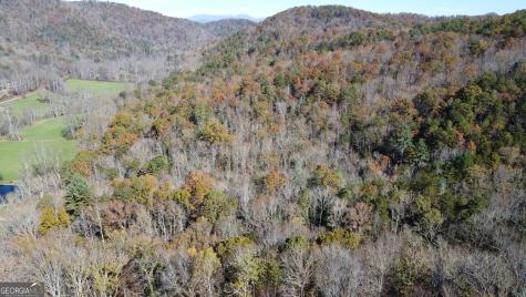 0 Benfield Lane Clarkesville GA 30523