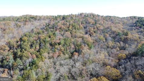 0 Benfield Lane Clarkesville GA 30523