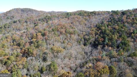 0 Benfield Lane Clarkesville GA 30523