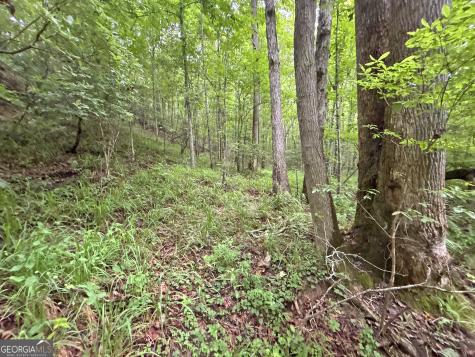 20AC Yonder Way Talking Rock GA 30175