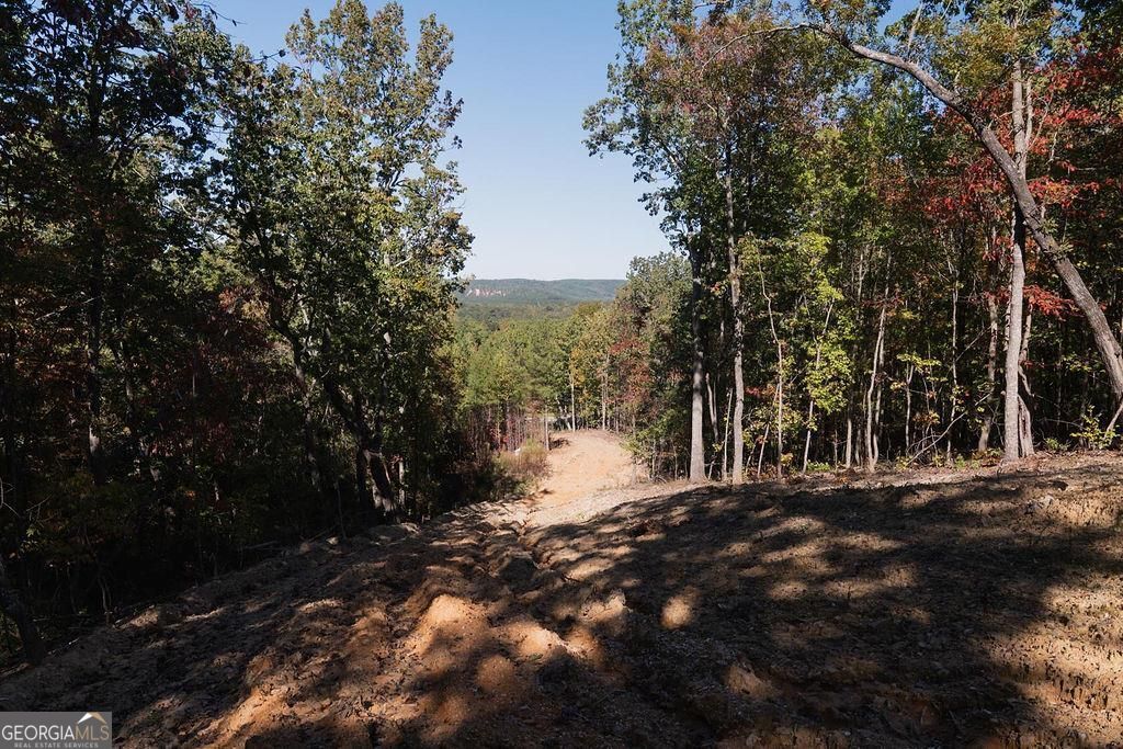 34 E Heritage Drive NE Rydal GA 30171