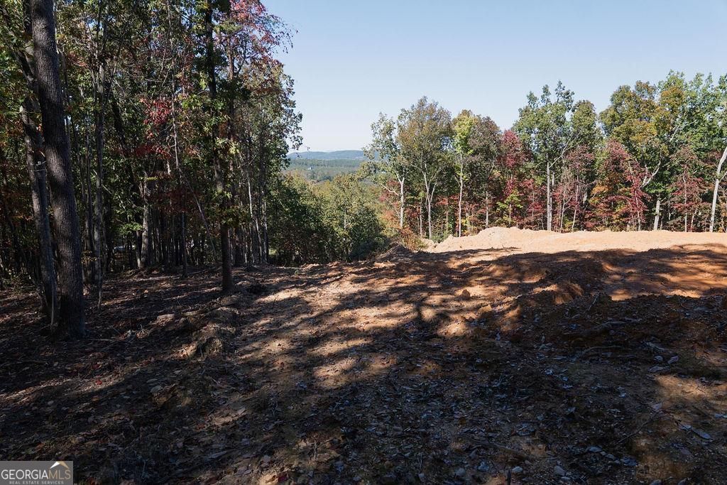 34 E Heritage Drive NE Rydal GA 30171