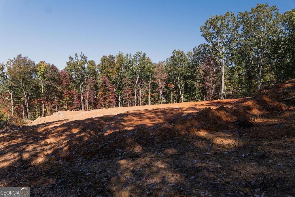 34 E Heritage Drive NE Rydal GA 30171