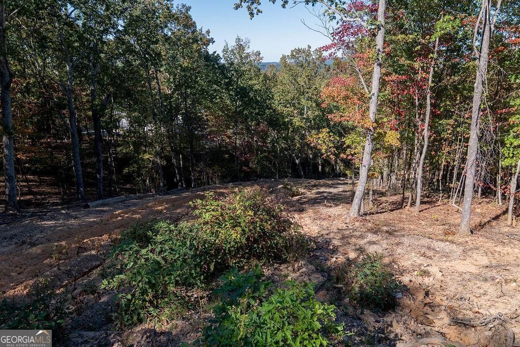 34 E Heritage Drive NE Rydal GA 30171