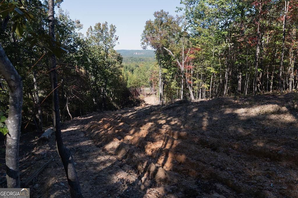 34 E Heritage Drive NE Rydal GA 30171