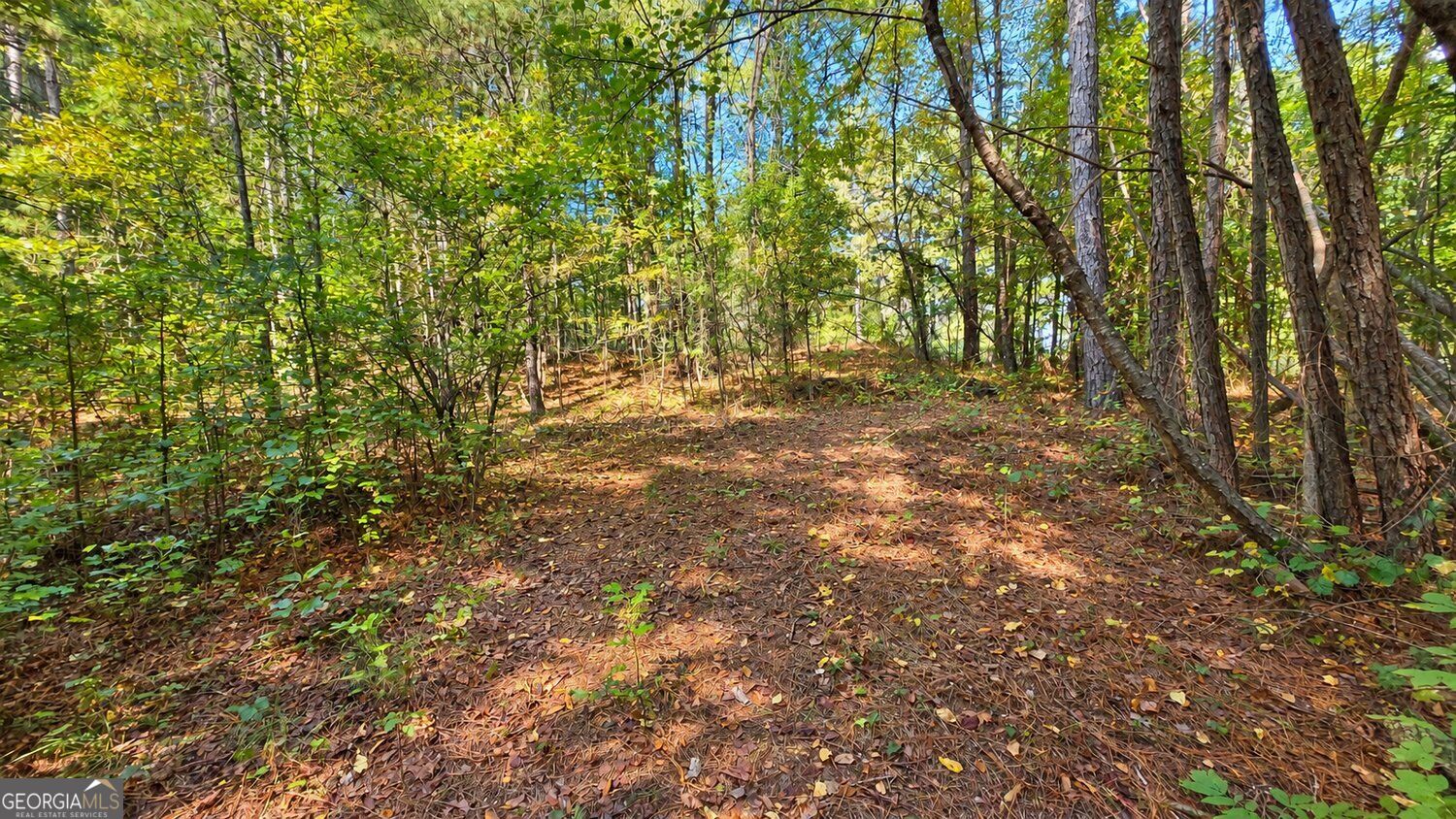 0 Winndale Road Dallas GA 30157