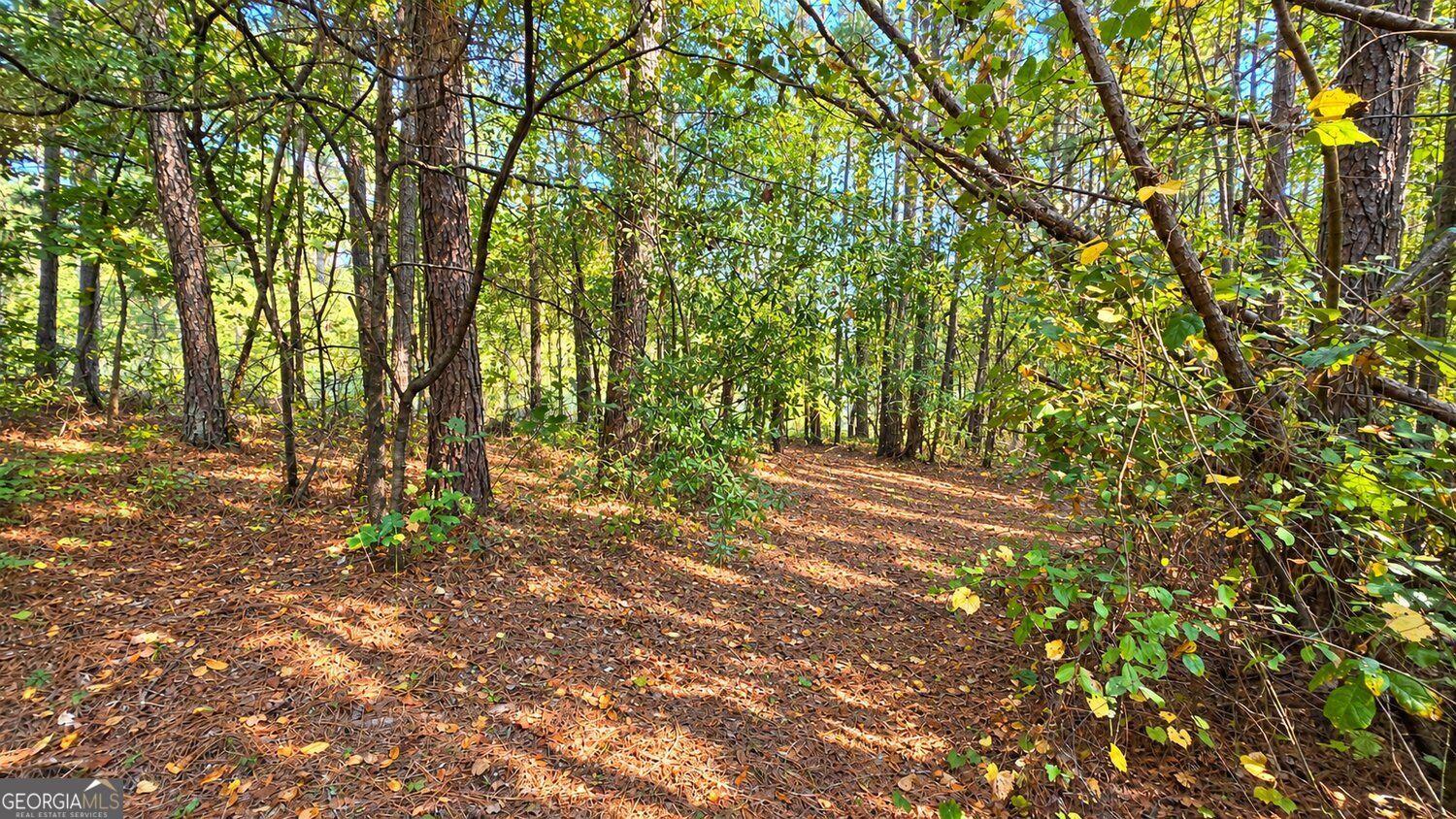 0 Winndale Road Dallas GA 30157