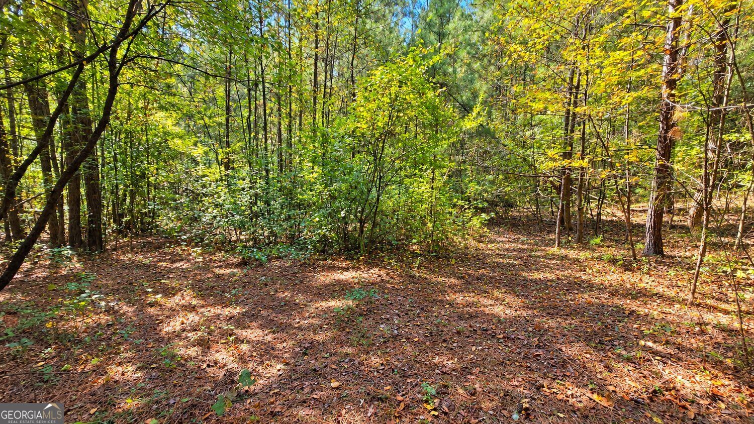 0 Winndale Road Dallas GA 30157