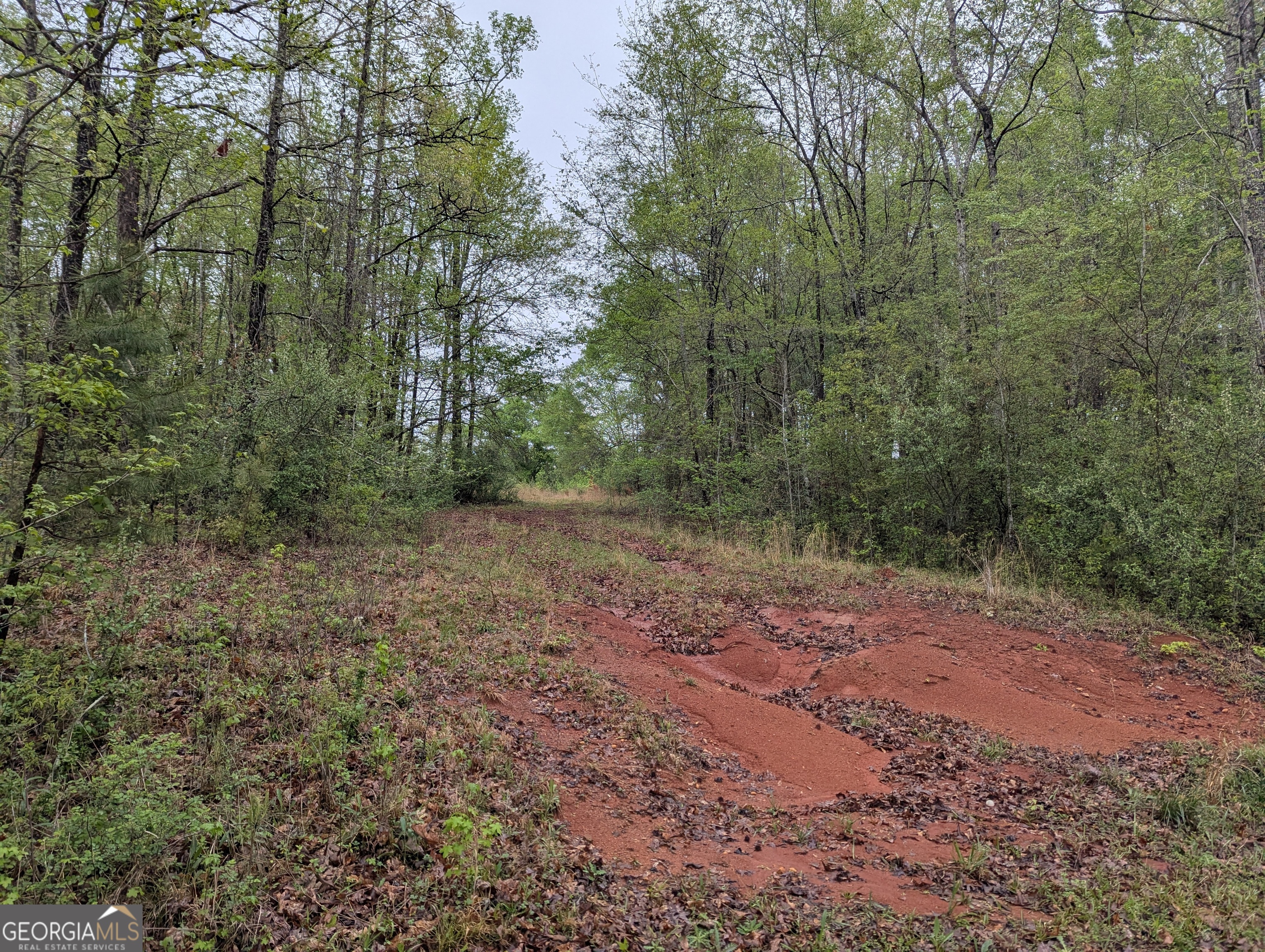 0 Fischer Spur Road Newnan GA 30265
