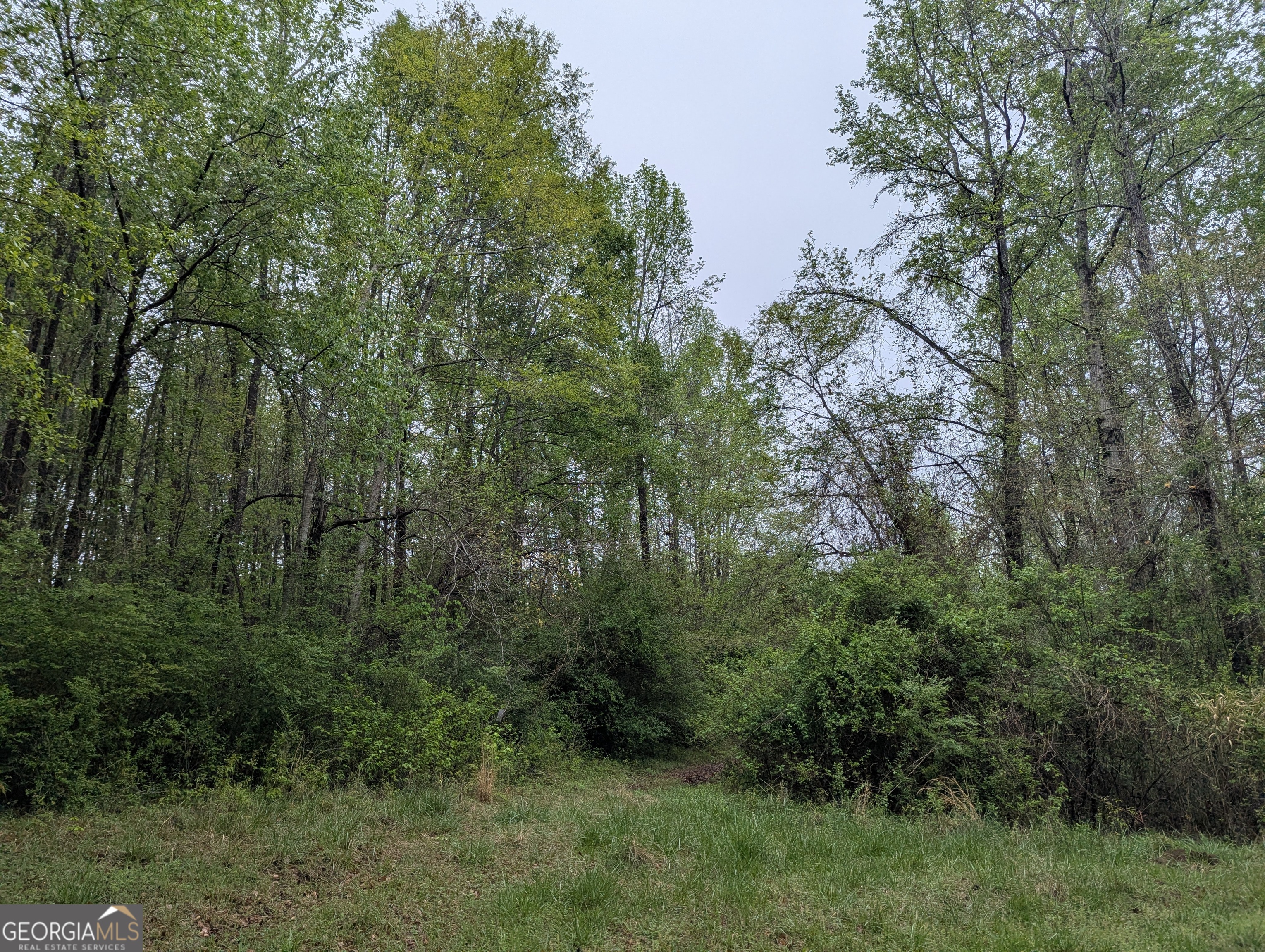 0 Fischer Spur Road Newnan GA 30265