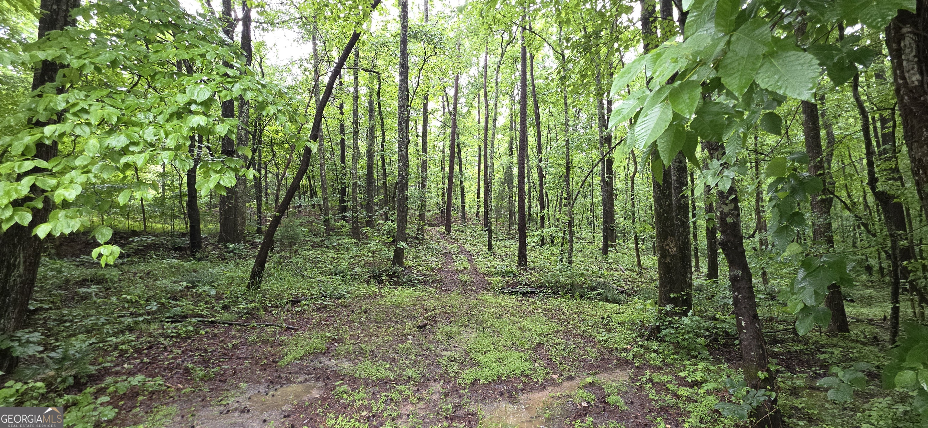 0 Brewsterfield Road Cedartown GA 30125