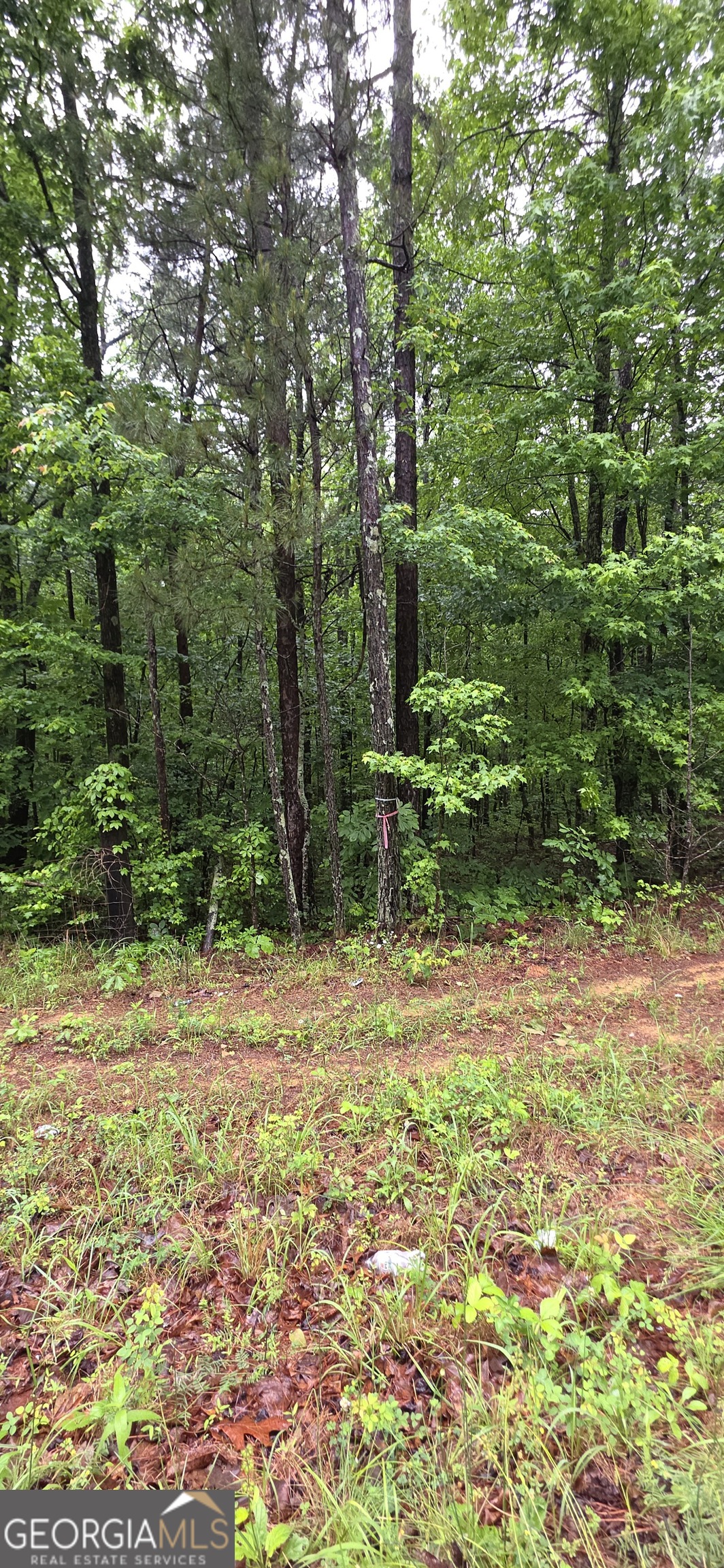 0 Brewsterfield Road Cedartown GA 30125