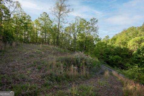 43/44 Timberwood Mountain Estates Marble NC 28905