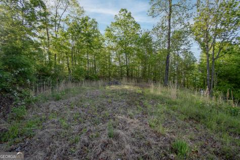 43/44 Timberwood Mountain Estates Marble NC 28905