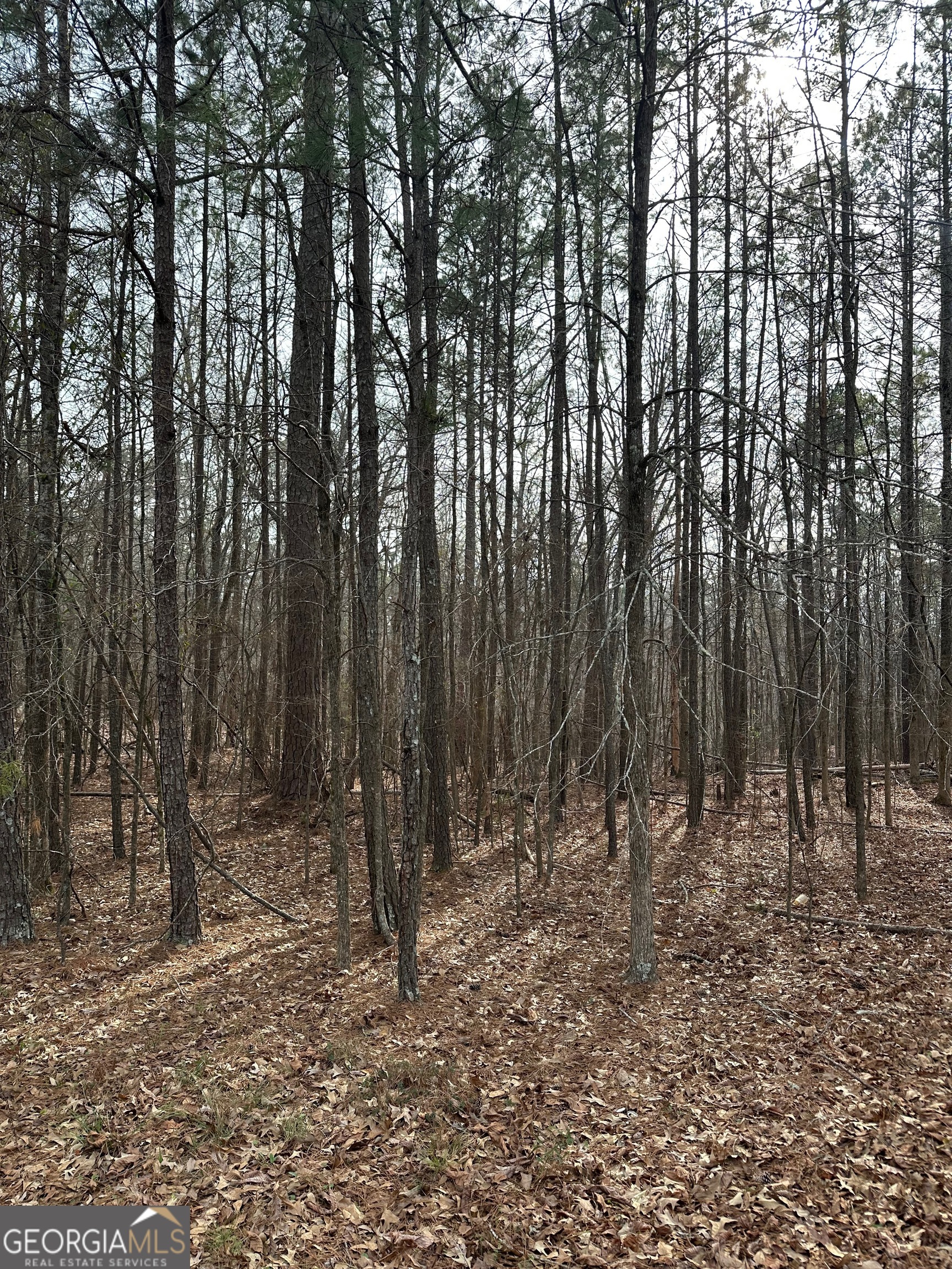 0 Tussahaw Point Drive Jackson GA 30233