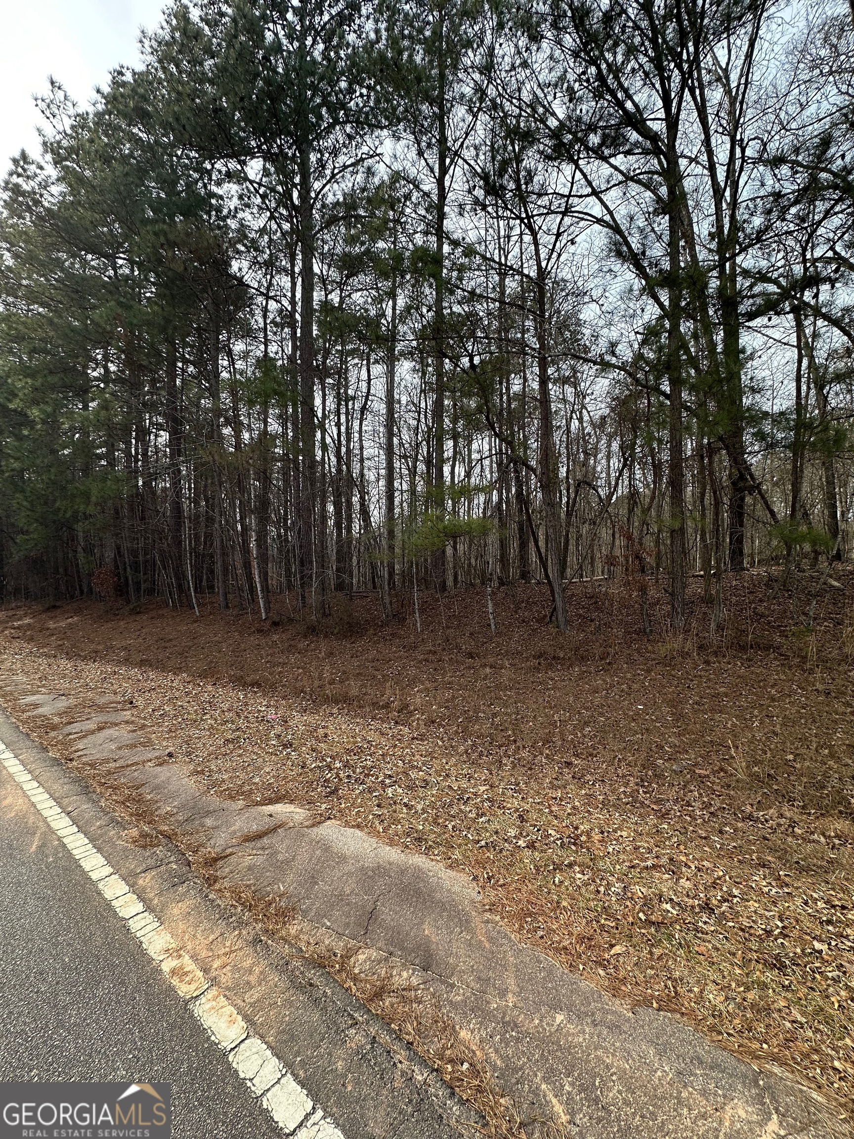0 Tussahaw Point Drive Jackson GA 30233