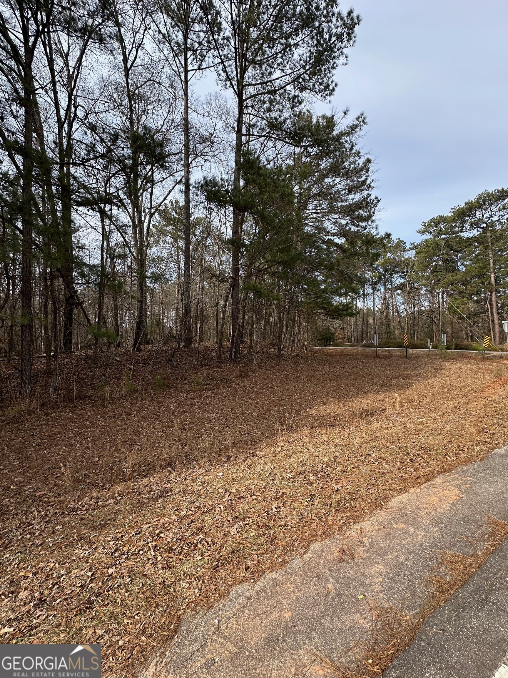 0 Tussahaw Point Drive Jackson GA 30233