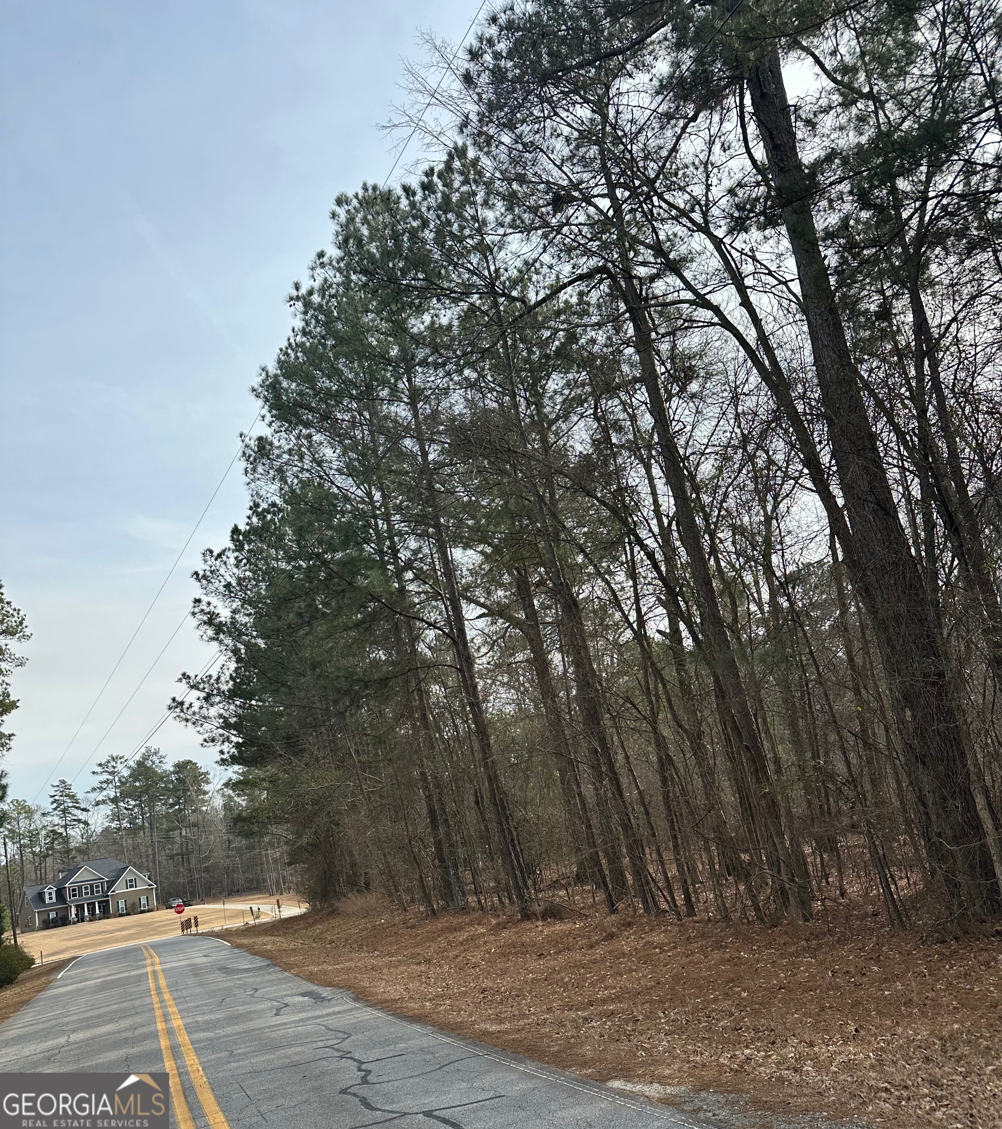 0 Tussahaw Point Drive Jackson GA 30233