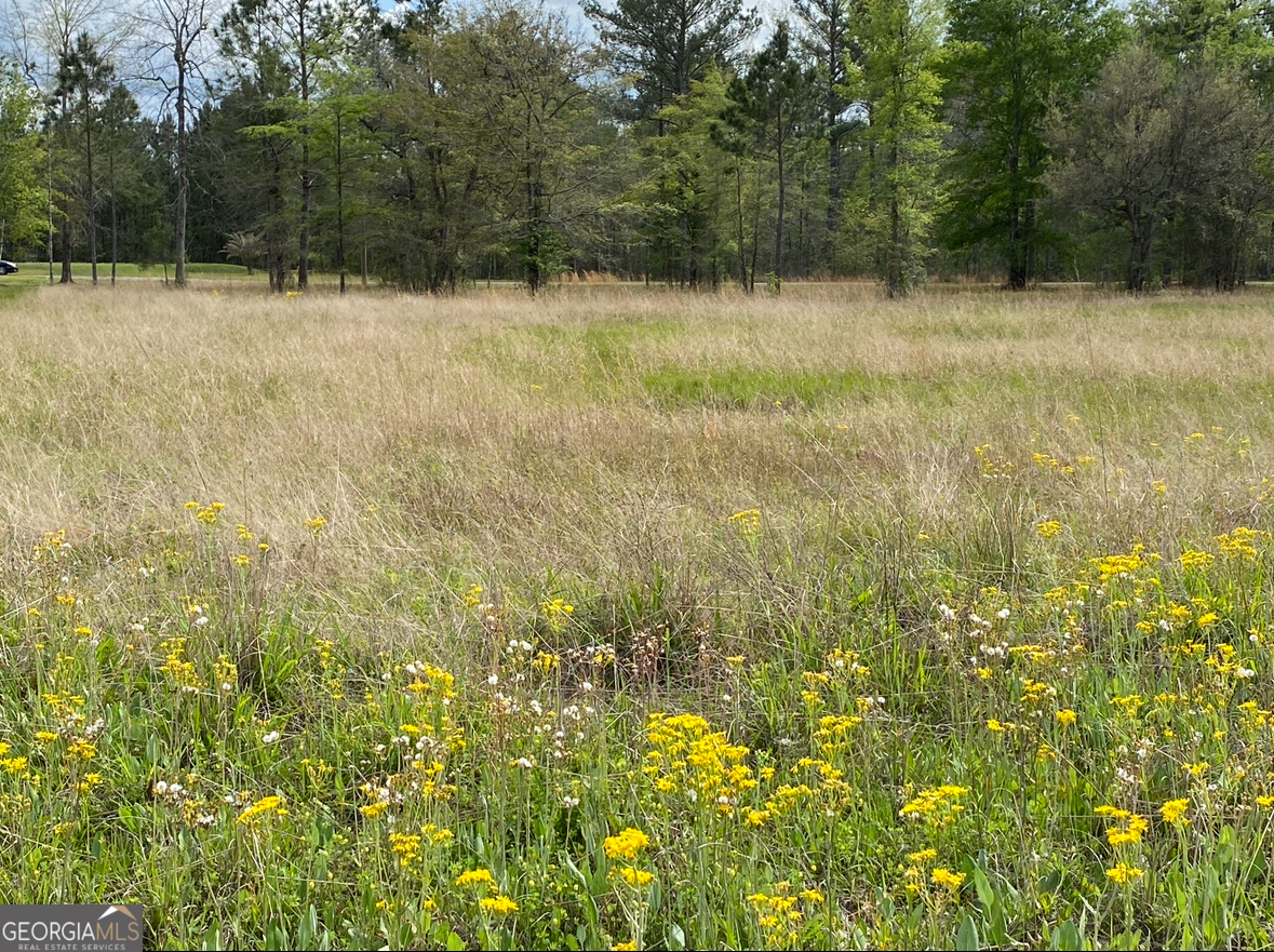 0 Main Trail Fleming GA 31309
