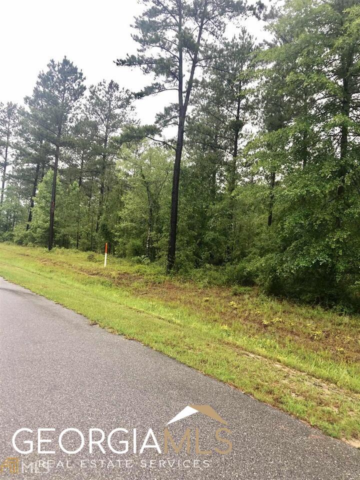 0 Apalachicola Trail Dublin GA 31021