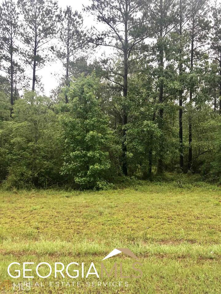 0 Apalachicola Trail Dublin GA 31021