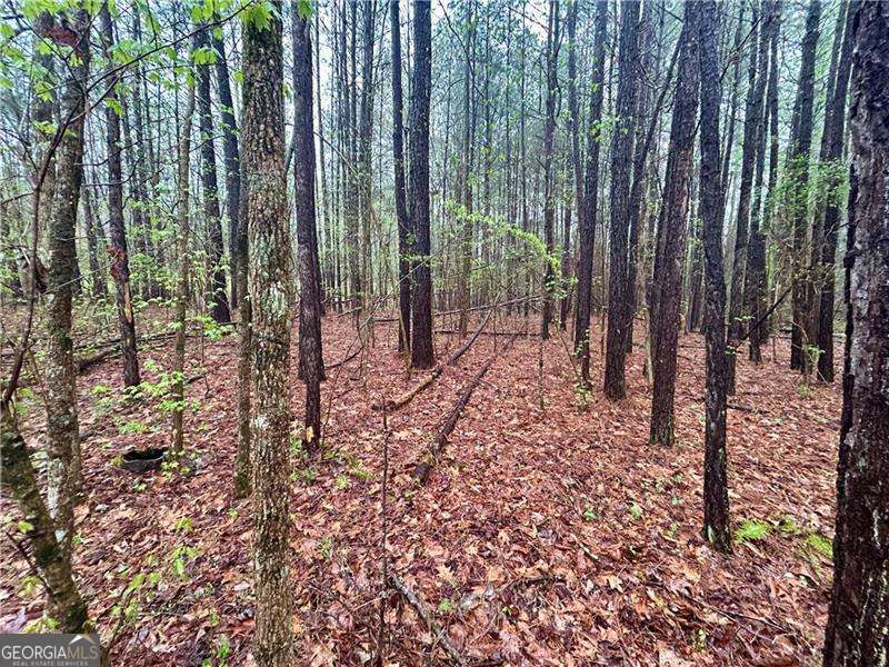 0 Walker Mountain Road SW Rome GA 30161