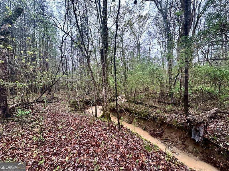 0 Walker Mountain Road SW Rome GA 30161
