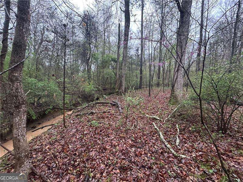 0 Walker Mountain Road SW Rome GA 30161