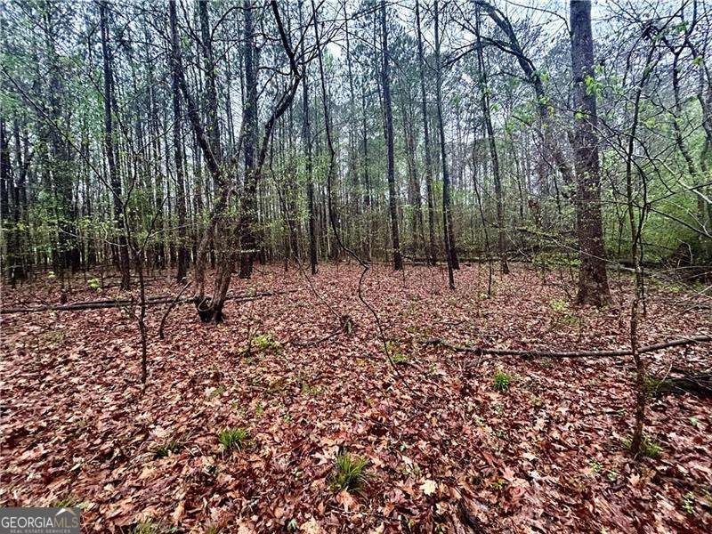 0 Walker Mountain Road SW Rome GA 30161
