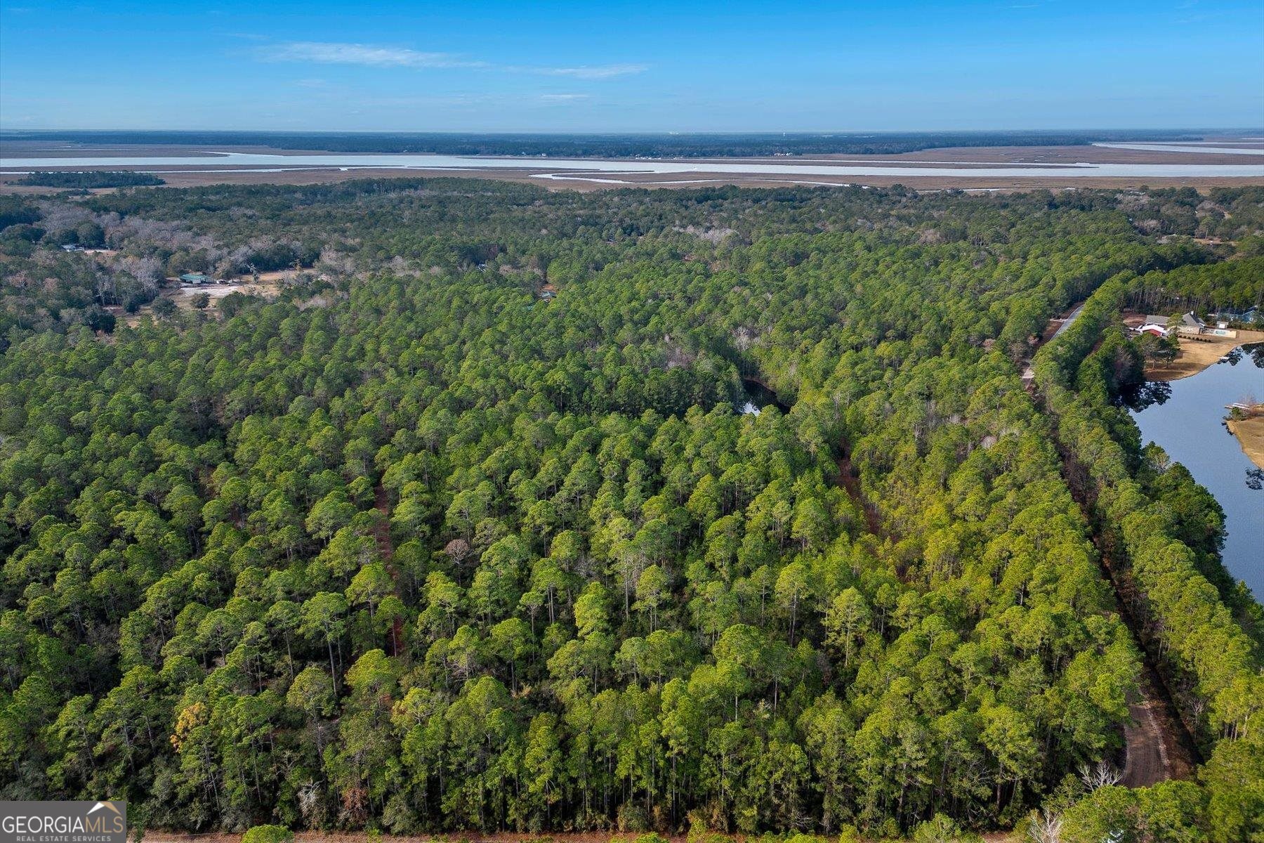 0 Steeple Chase Lane Richmond Hill GA 31324