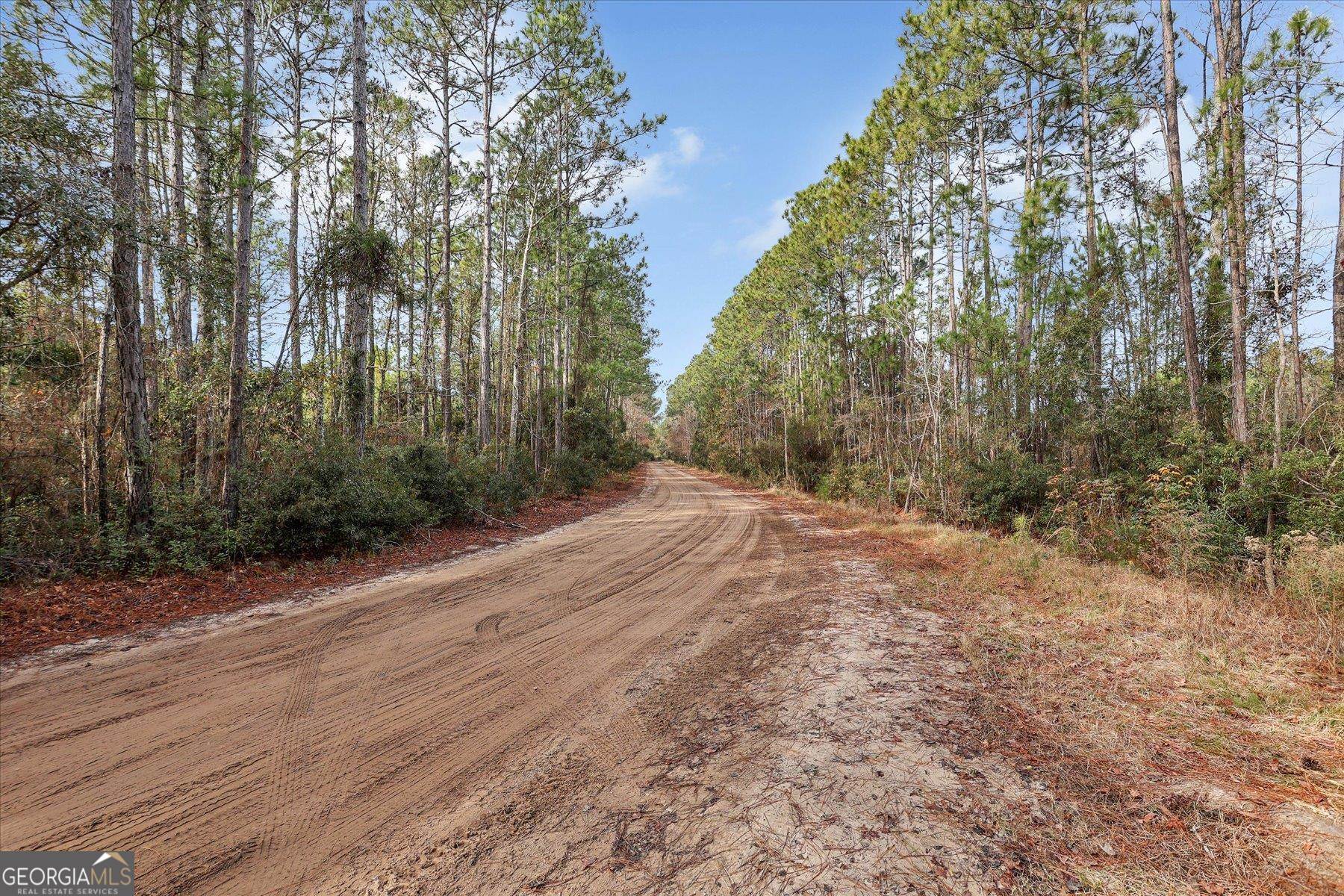 0 Steeple Chase Lane Richmond Hill GA 31324