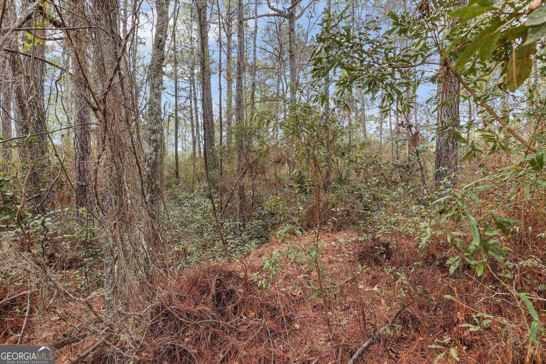 0 Steeple Chase Lane Richmond Hill GA 31324