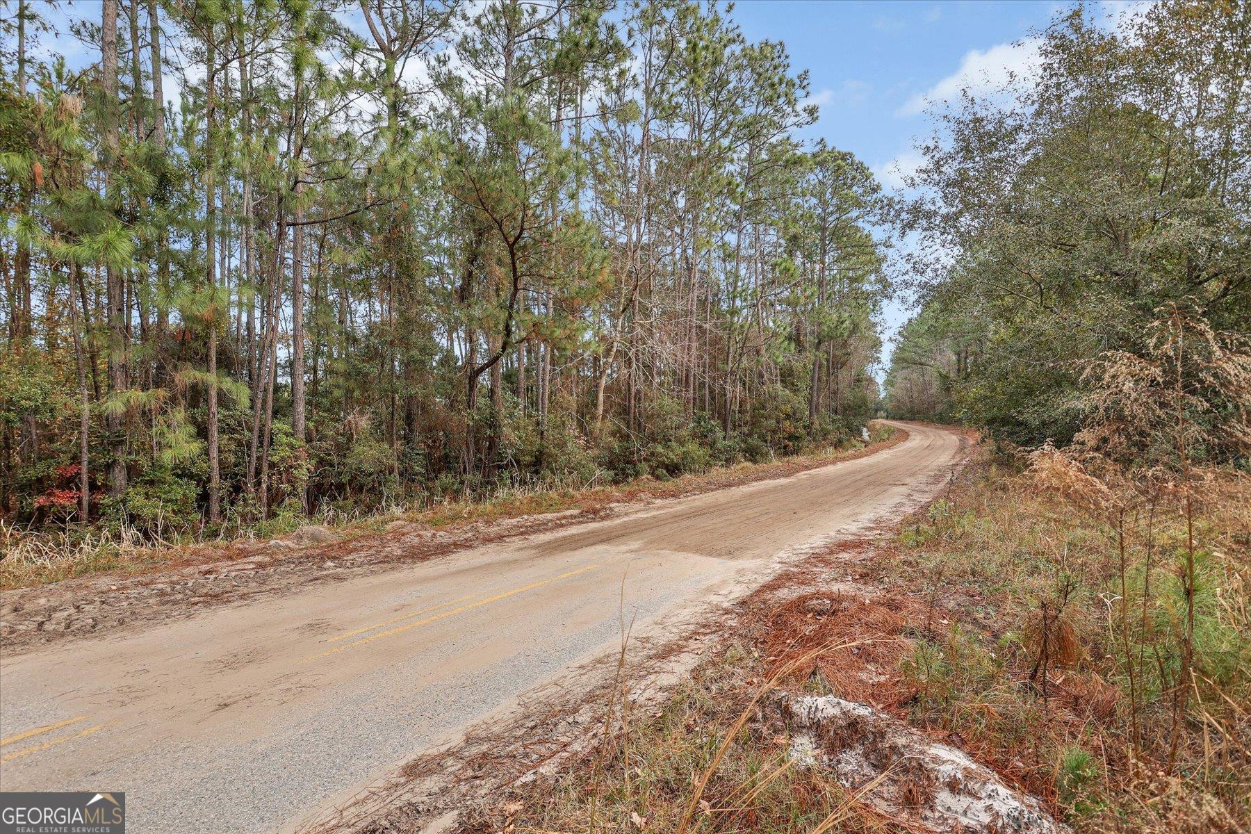 0 Steeple Chase Lane Richmond Hill GA 31324