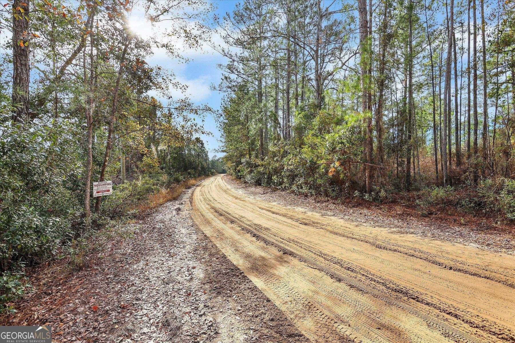 0 Steeple Chase Lane Richmond Hill GA 31324