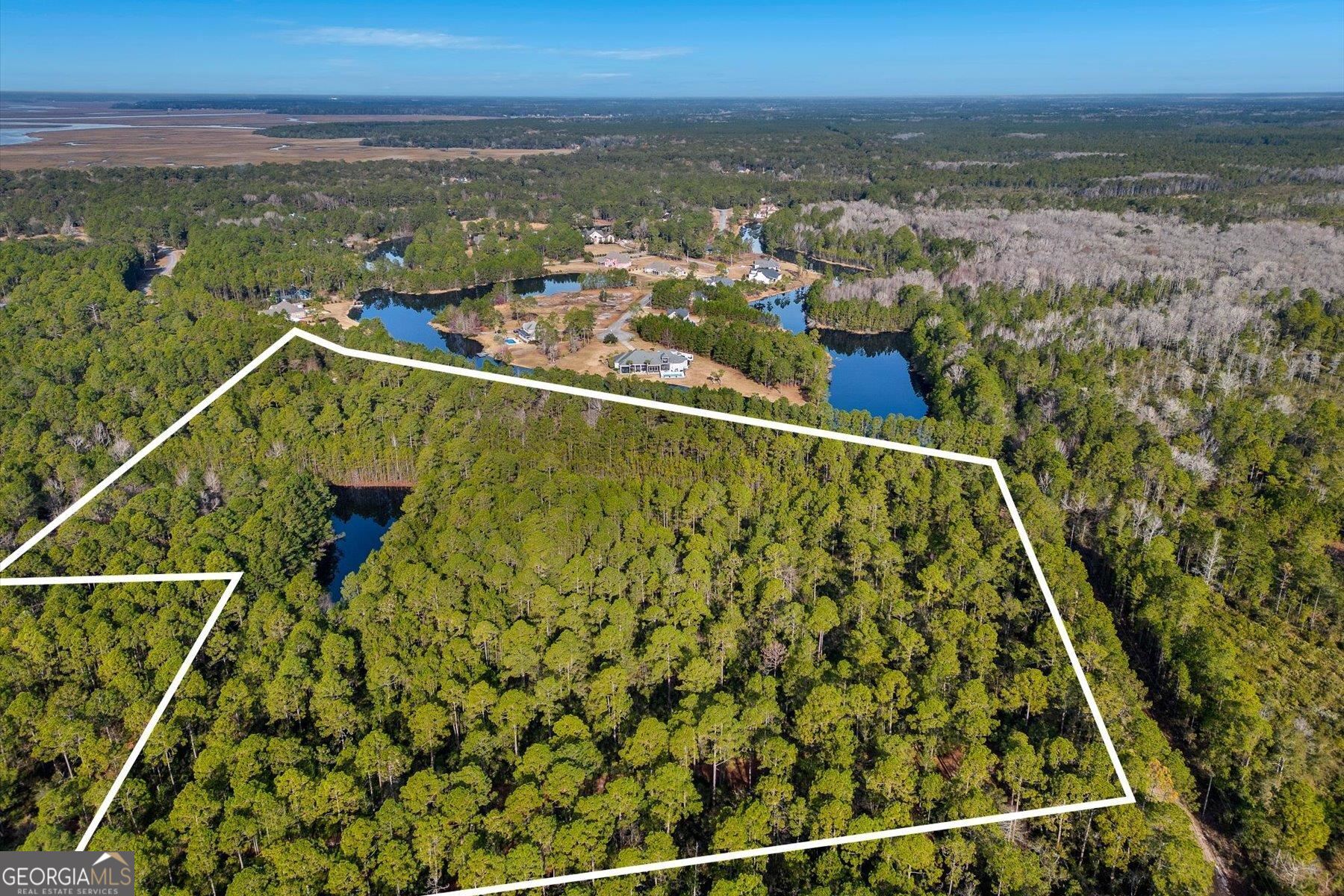 0 Steeple Chase Lane Richmond Hill GA 31324
