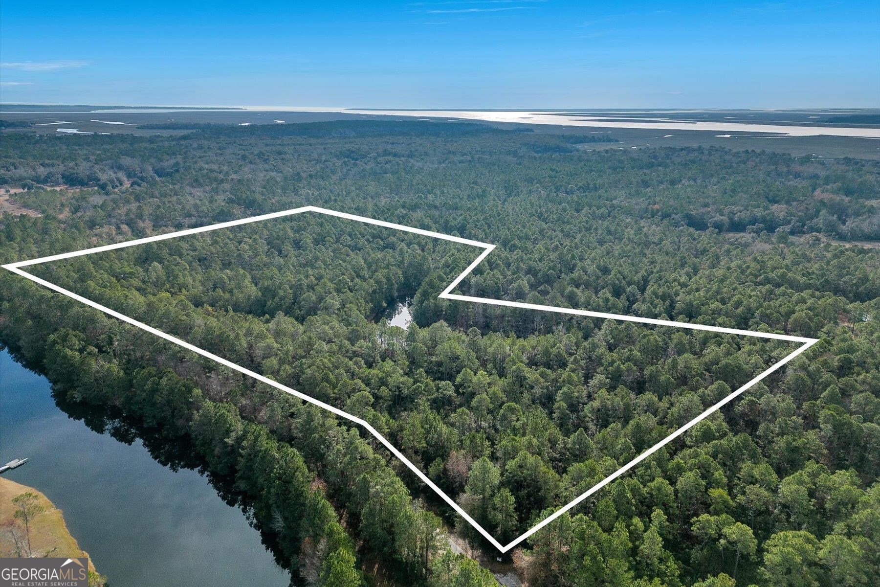0 Steeple Chase Lane Richmond Hill GA 31324