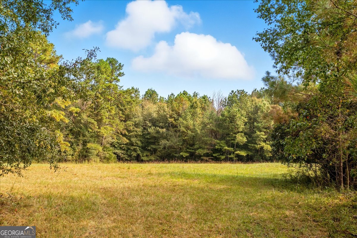 4267 Buchanan Highway Buchanan GA 30113