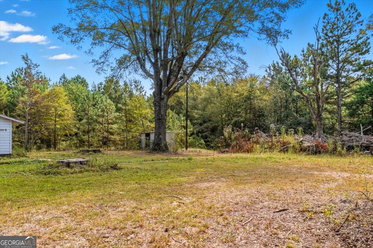 4267 Buchanan Highway Buchanan GA 30113