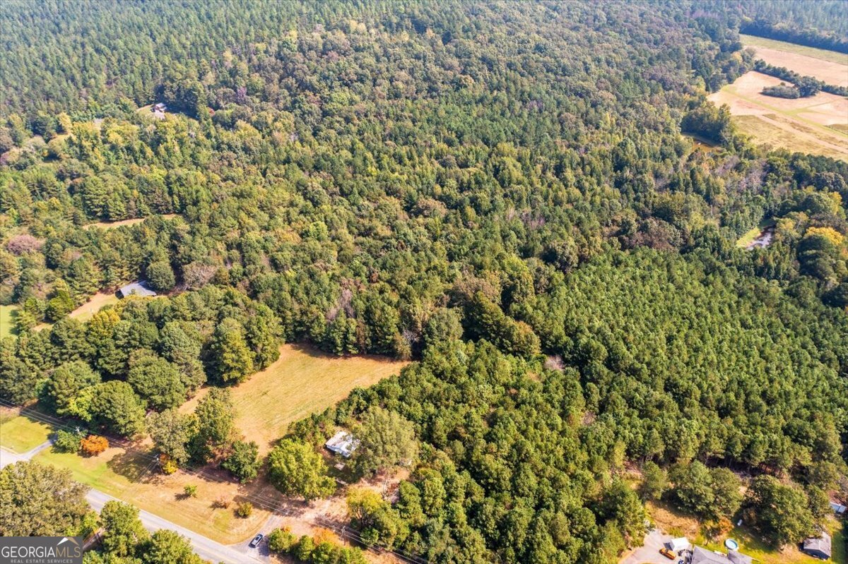 4267 Buchanan Highway Buchanan GA 30113