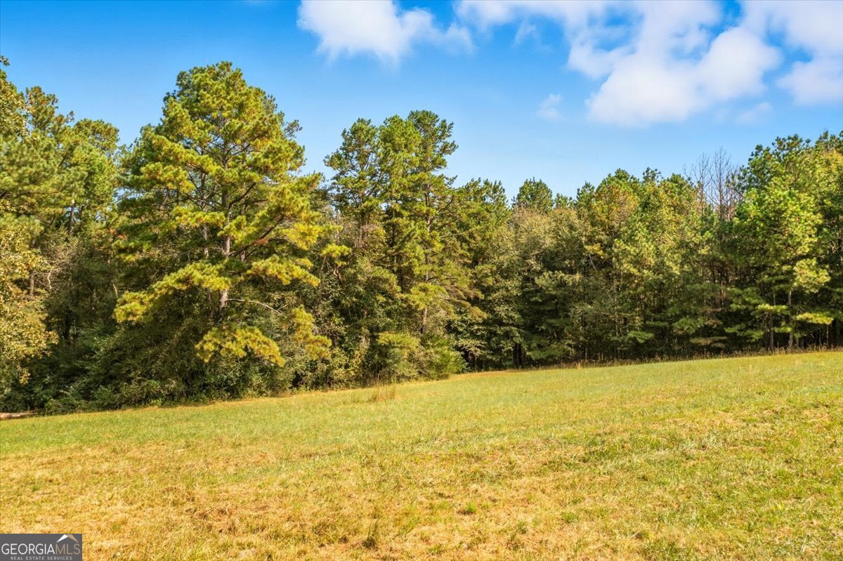4267 Buchanan Highway Buchanan GA 30113